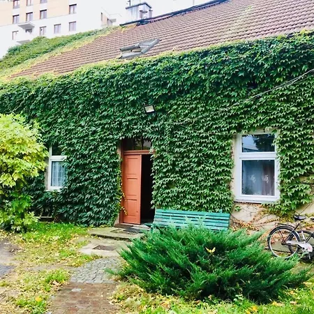 In Ivy Covered House, Near Old Town Krakov